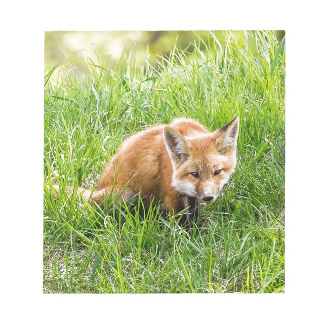 Fox Cub Notizblock (Vorderseite)