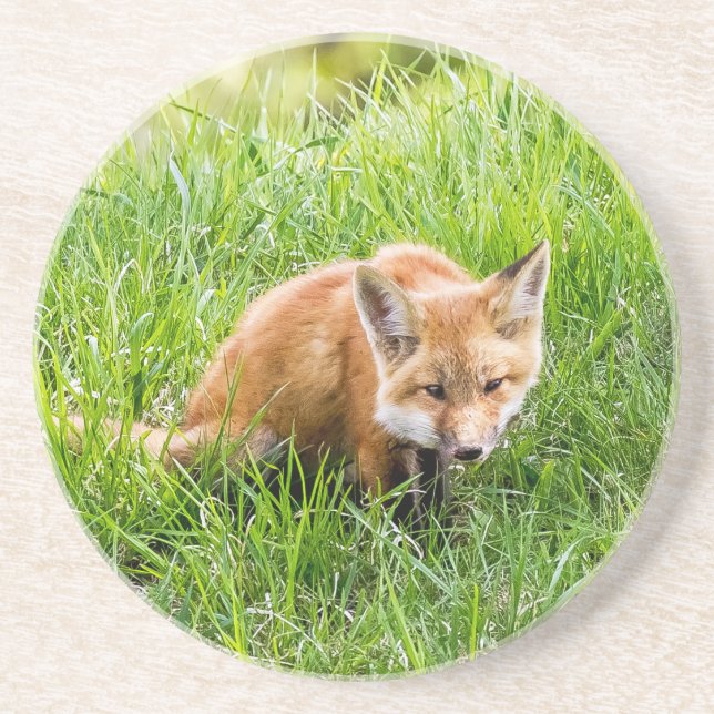 Fox Cub Sandstein Untersetzer (Vorne)