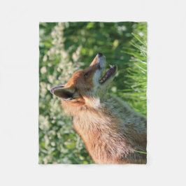 fox Decke, foxy Wurf, Fuchsjungs-Wurfsdecke Fleecedecke