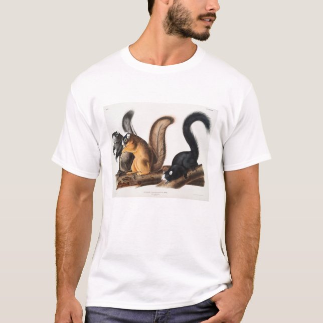 Fox Eichhörnchen Camping Deko Geschenke T-Shirt (Vorderseite)