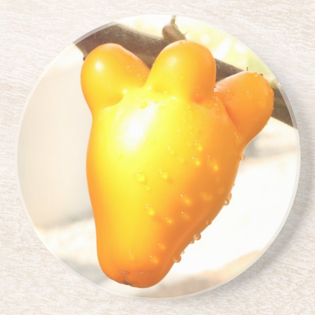 Fox Face Fruit Coaster Getränkeuntersetzer (Vorne)