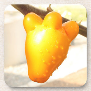 Fox Face Fruit Getränkeuntersetzer