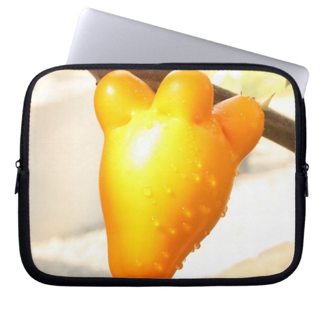 Fox Face Fruit Laptopschutzhülle (Vorderseite)