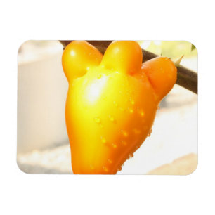 Fox Face Fruit Magnet