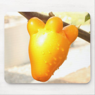 Fox Face Fruit Mousepad