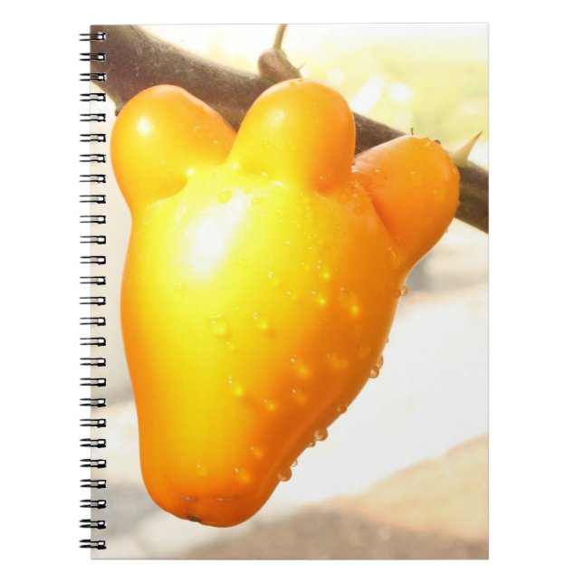 Fox Face Fruit Notizblock (Vorderseite)