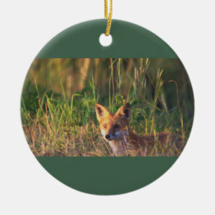 Fox Foto Ornament