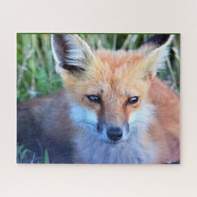 Fox Foto Puzzle (Horizontal)