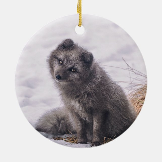 Fox Gray Snow Foto Keramik Ornament (Hinten)