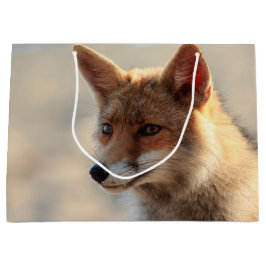 Fox Große Geschenktüte