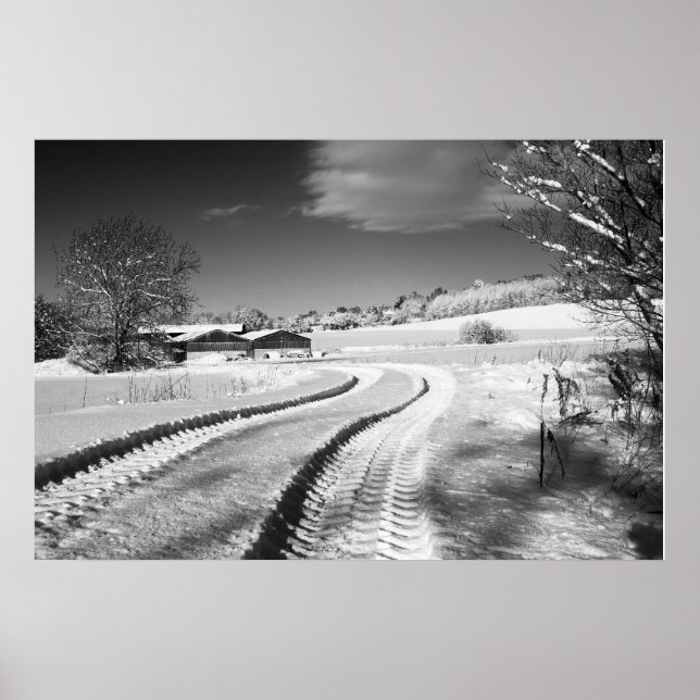 Fox Hill Farm Poster (Vorne)