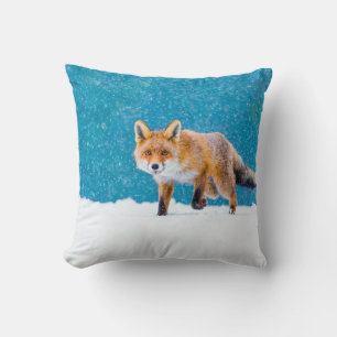 Fox im Winter. Rotfuchs, Vulpes vulpes, Scharfschü Kissen