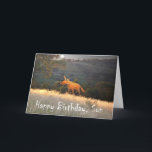 Fox in Mondlicht, Happy Birthday Son, Spaß. Karte<br><div class="desc">Ein Cartoon,  der im Mondlicht von einem Ingwer-Fuchs zeichne. Es ist ein Mond am Nachthimmel,  und "Happy Birthday Son" wird am Ende der Karte geschrieben,  Spaß</div>