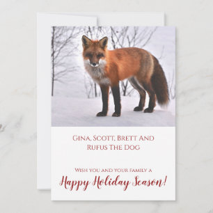 Fox in Schnee Natur Weihnachten