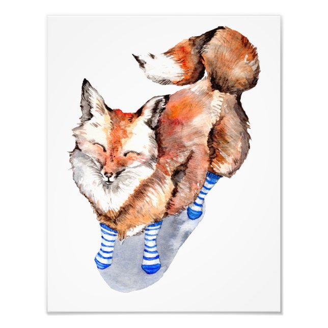 Fox in Socken Fotodruck (Vorne)