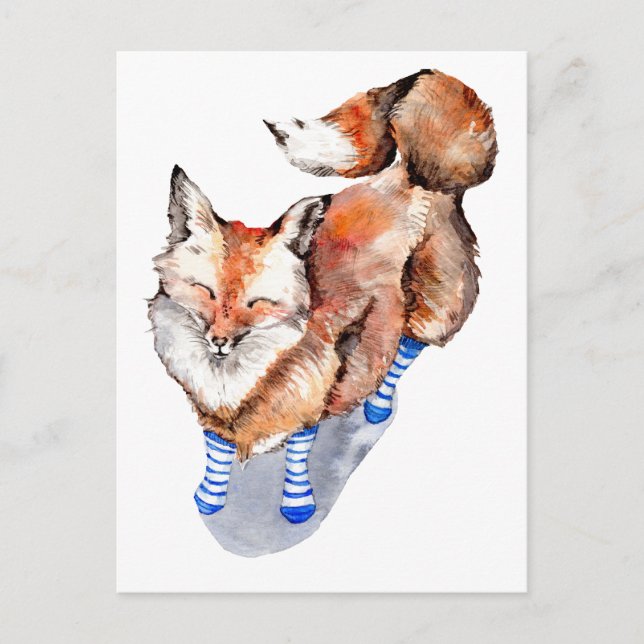 Fox in Socken Postkarte (Vorderseite)