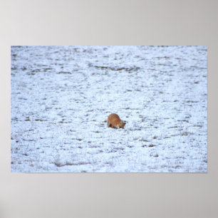 Fox in the Snow Poster