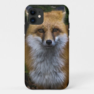 Fox iPhone Fall title_seo2