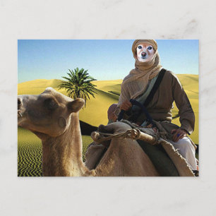 Fox ist der Lawrence von Arabien Postkarte