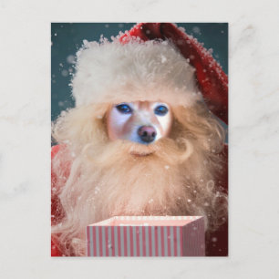 Fox ist Sankt mit einem Geschenk Feiertagspostkarte