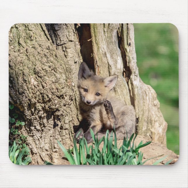 Fox Kit im Hudson Valley Mousepad (Vorne)