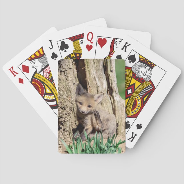 Fox Kit im Hudson Valley Spielkarten (Rückseite)