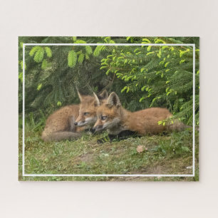 Fox Kit Pals