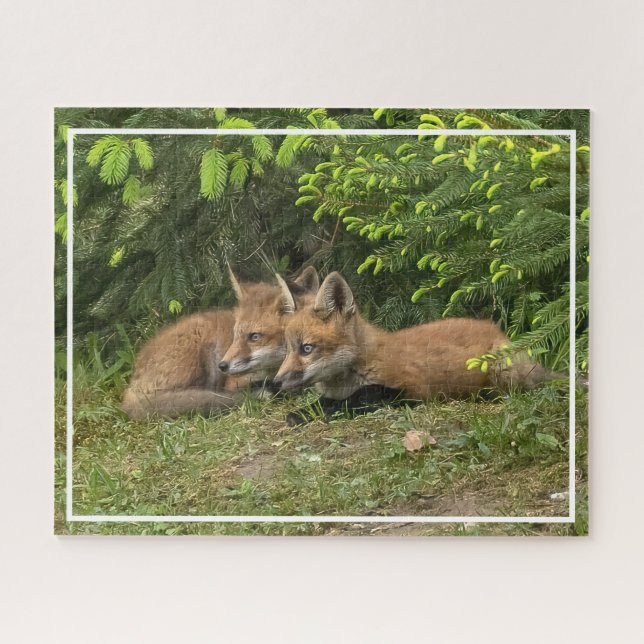 Fox Kit Pals (Horizontal)