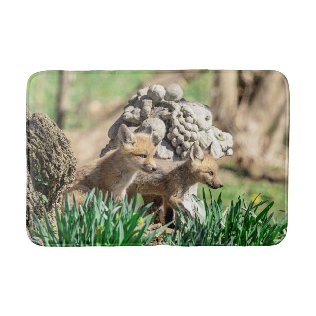Fox Kits im Hudson Valley Badematte (Vorderseite)