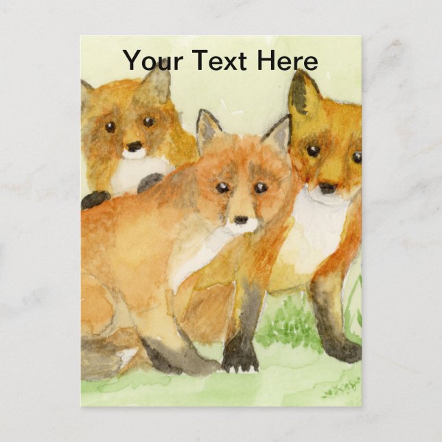 Fox Kits Postkarte (Vorderseite)
