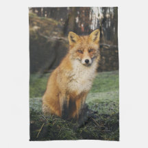 fox Küchentuch, foxy Teetuch, Fuchsjungs-Zuhausede