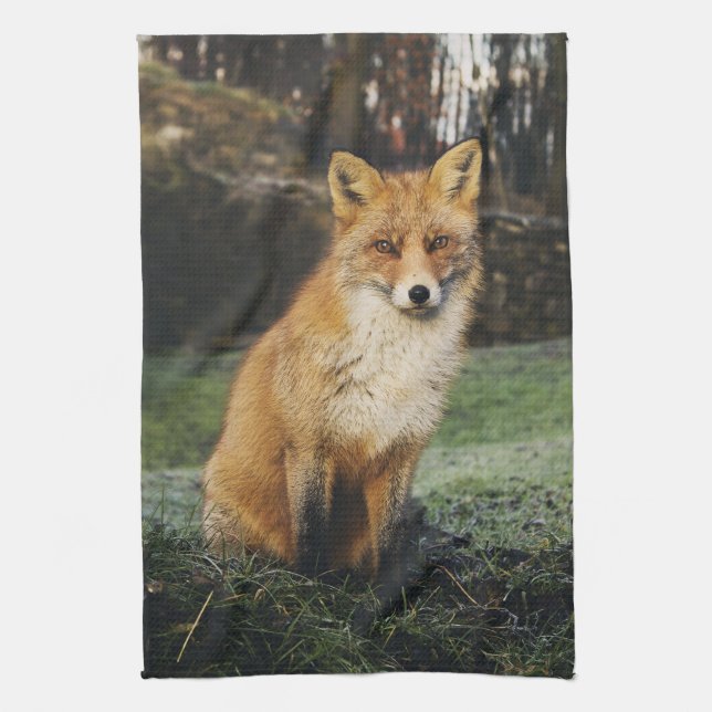fox Küchentuch, foxy Teetuch, Fuchsjungs-Zuhausede Geschirrtuch (Vertikal)
