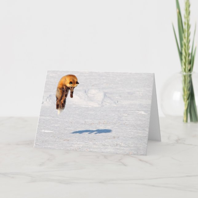 Fox Leap | Yukon, Kanada Karte (Vorderseite)