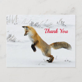 Fox Leaping Snow Foto Vielen Dank Postkarte