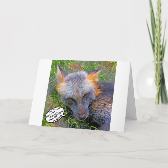Fox mit Attitude Card Karte (Vorderseite)