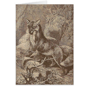Fox mit seinem Tod