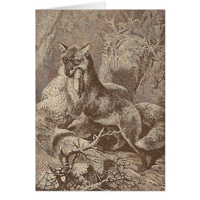 Fox mit seinem Tod (Vorne)