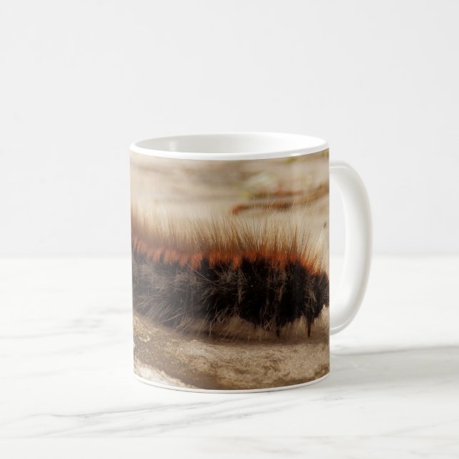 Fox Moth Raupe Bug Tasse (VorderseiteRechts)
