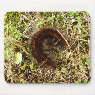 Fox Moth Raupe Mouse Mat Mousepad