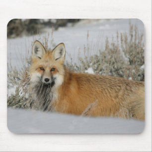 Fox Mousepad