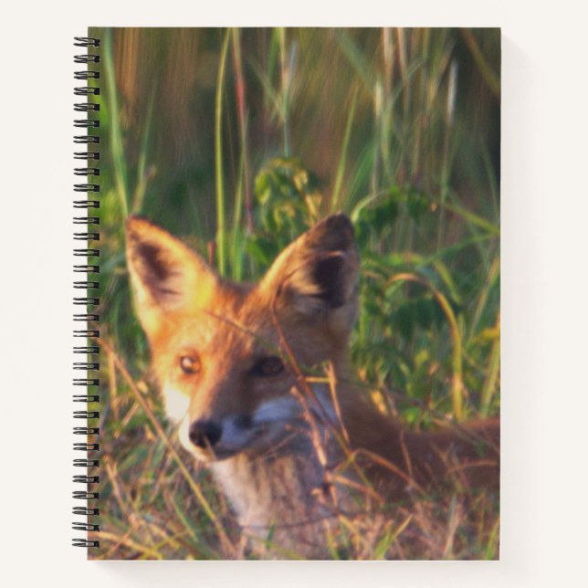Fox Notebook Notizbuch (Vorderseite)