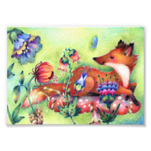 Fox on a Mushroom - Süße Tier Art Fotodruck