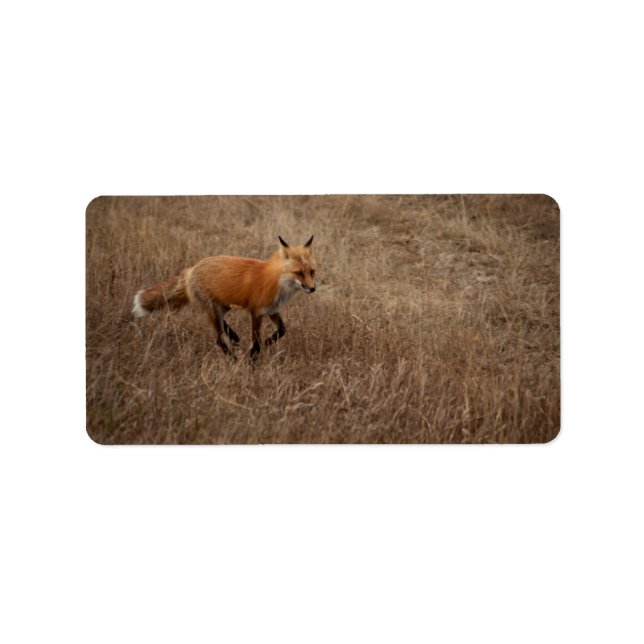 Fox on Run Adressaufkleber (Vorne)