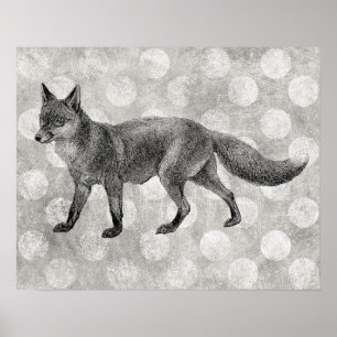 Fox Poster - Vintage Illustration Print