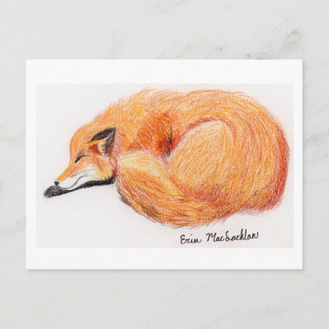 Fox-Postkarte Postkarte (Vorderseite)