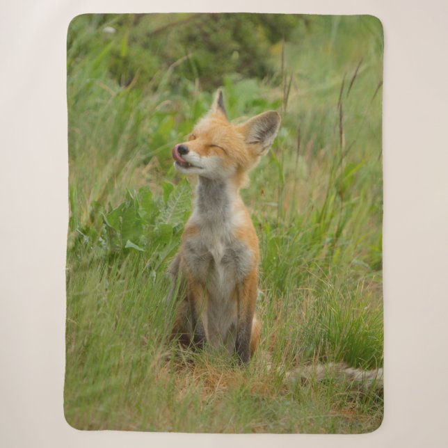 FOX PUP SHERPADECKE (Vorderseite)