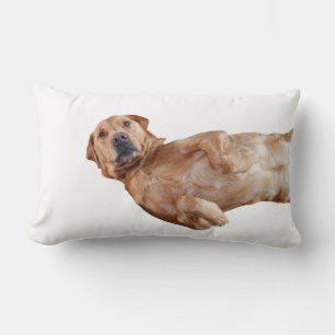 Fox Red Labrador Pillow Lendenkissen