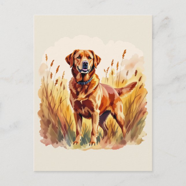 Fox Red Labrador Retriever Dog Postkarte (Vorderseite)