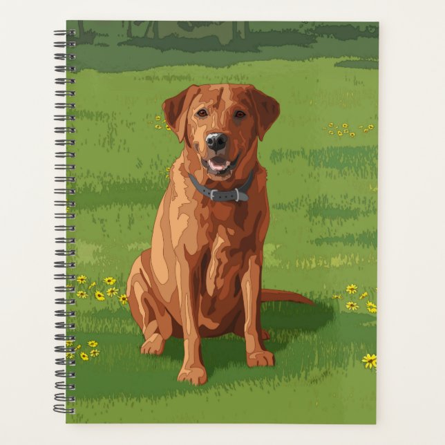 Fox Red Yellow Labrador Retriever Chien (Devant)