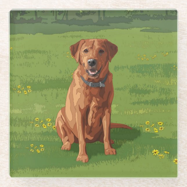 Fox Red Yellow Labrador Retriever Hund Glasuntersetzer (Vorderseite)